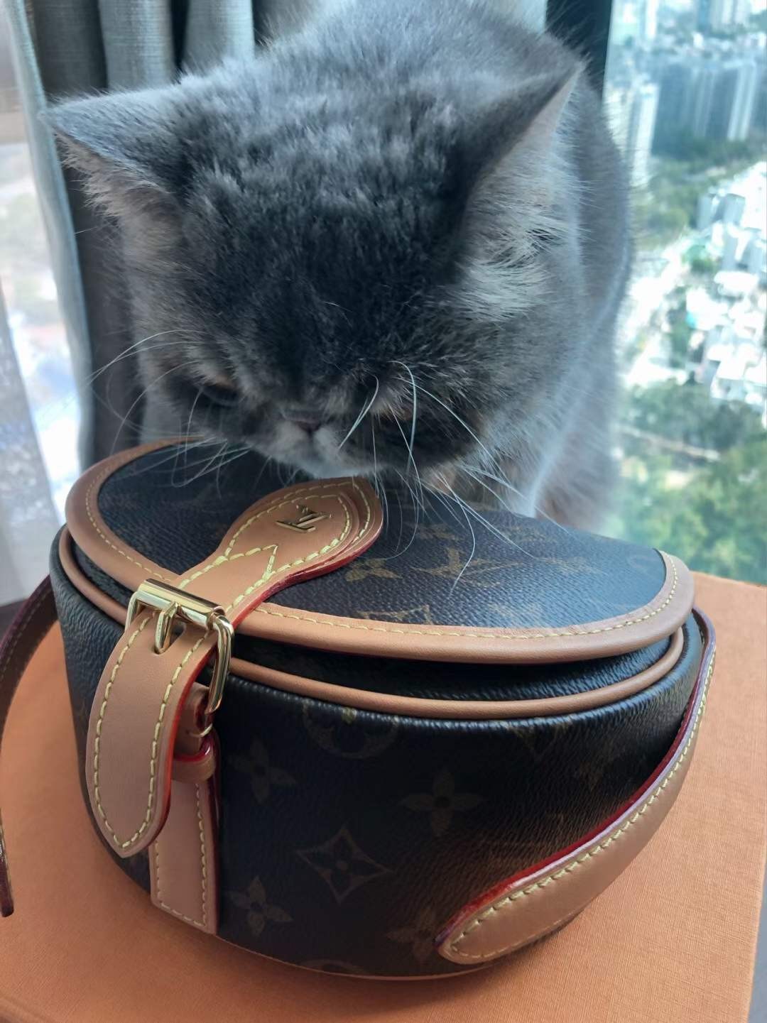 ലൂയിസ് വിറ്റൺ M44860 ടാംബോറിൻ ടോപ്പ് റെപ്ലിക്ക ഹാൻഡ്ബാഗുകൾ ഉപഭോക്താവിന്റെ ഫോട്ടോ (2022 പ്രത്യേകം)-മികച്ച ഗുണനിലവാരമുള്ള വ്യാജ ലൂയിസ് വിറ്റൺ ബാഗ് ഓൺലൈൻ സ്റ്റോർ, റെപ്ലിക്ക ഡിസൈനർ ബാഗ് ru ലൂയിസ് വിറ്റൺ M44860 ടാംബോറിൻ ടോപ്പ് റെപ്ലിക്ക ഹാൻഡ്ബാഗുകൾ ഉപഭോക്താവിന്റെ ഫോട്ടോ (2022 പ്രത്യേകം)-മികച്ച ഗുണനിലവാരമുള്ള വ്യാജ ലൂയിസ് വിറ്റൺ ബാഗ് ഓൺലൈൻ സ്റ്റോർ, റെപ്ലിക്ക ഡിസൈനർ ബാഗ് ru