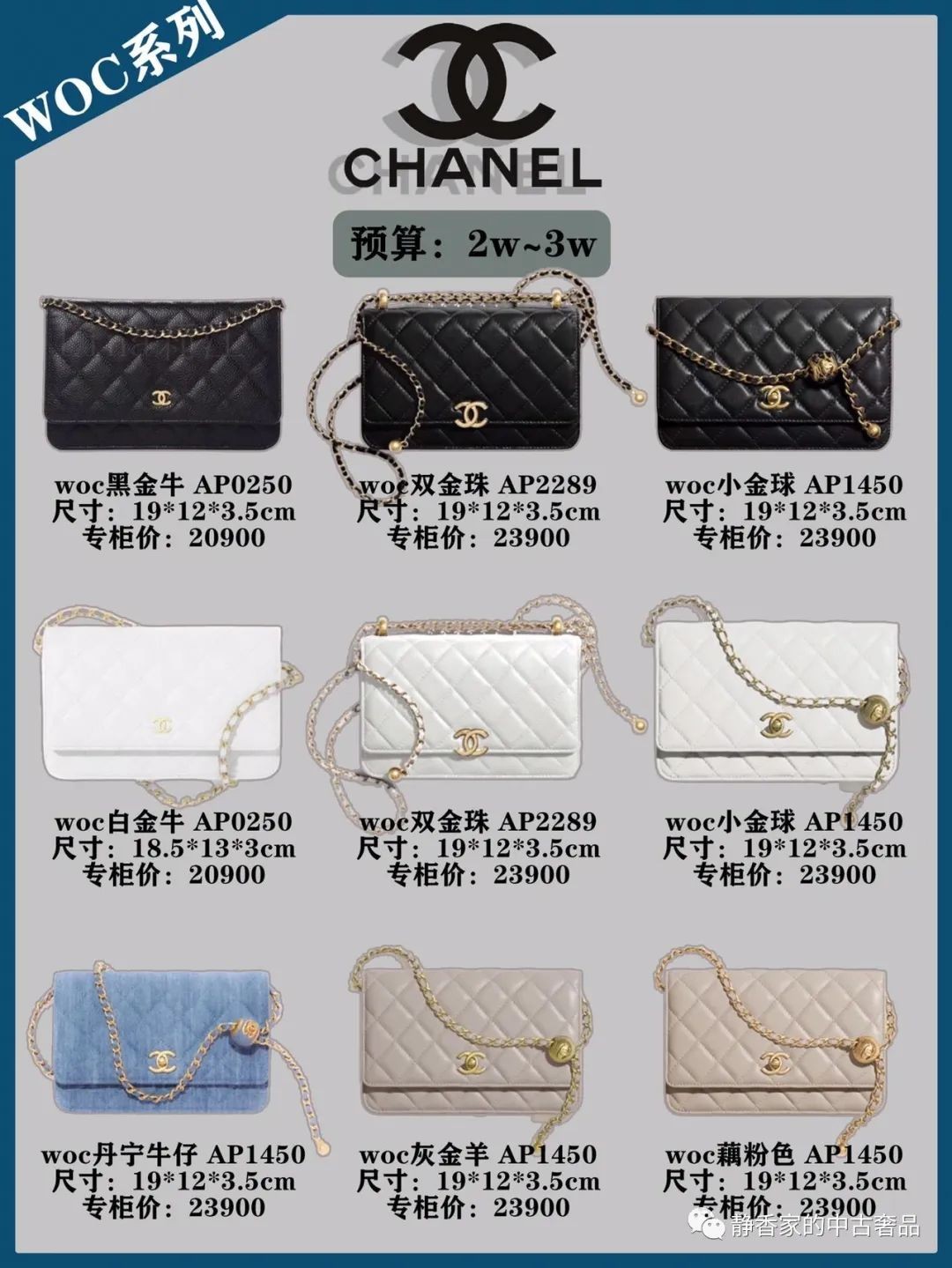 45 Chanel Investment Bags Collection (2023 Updated)-Online obchod s falošnou taškou Louis Vuitton najvyššej kvality, replika značkovej tašky ru