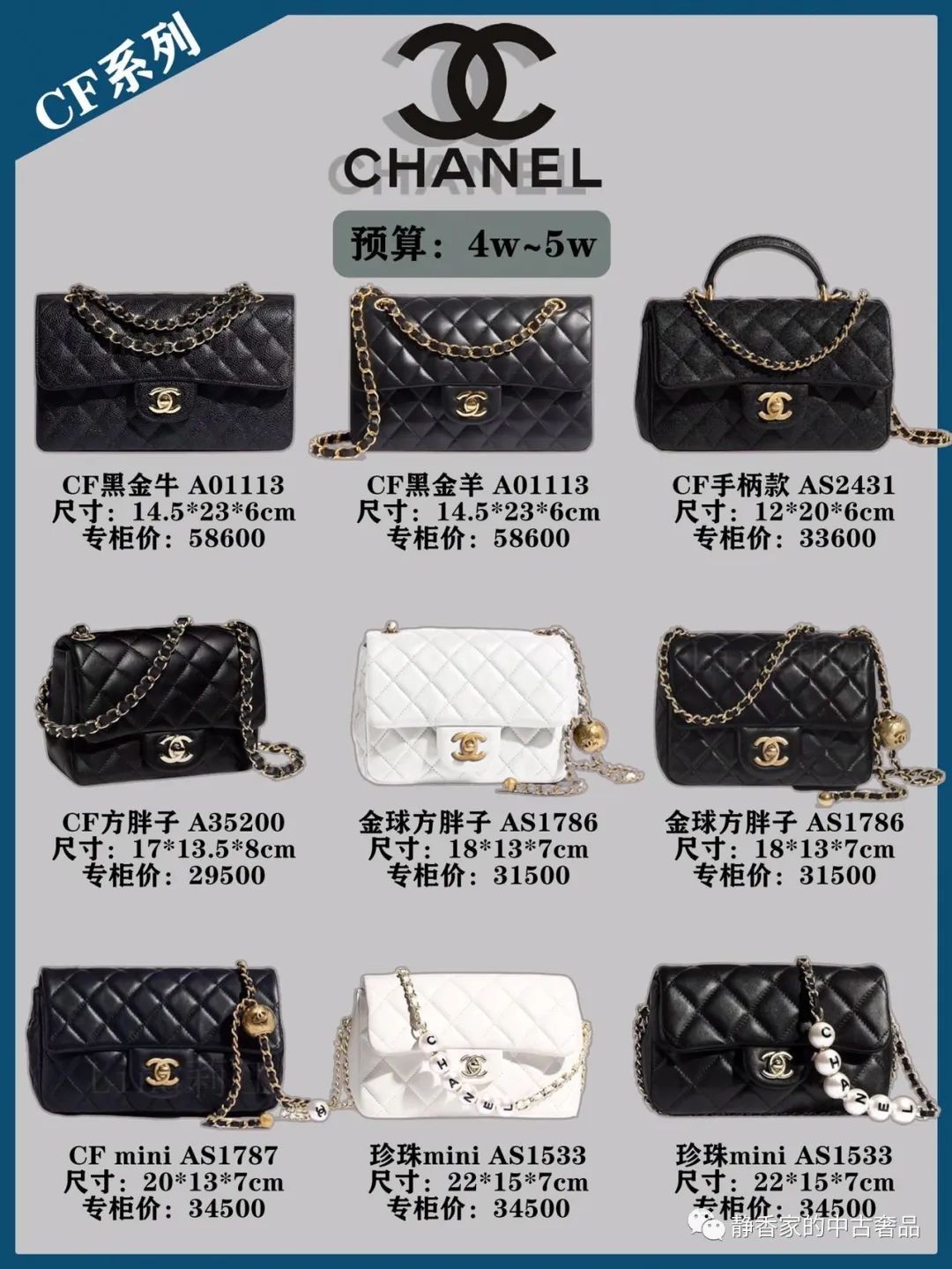 45 Chanel Investment Bags Collection (2023 Updated)-Online obchod s falošnou taškou Louis Vuitton najvyššej kvality, replika značkovej tašky ru