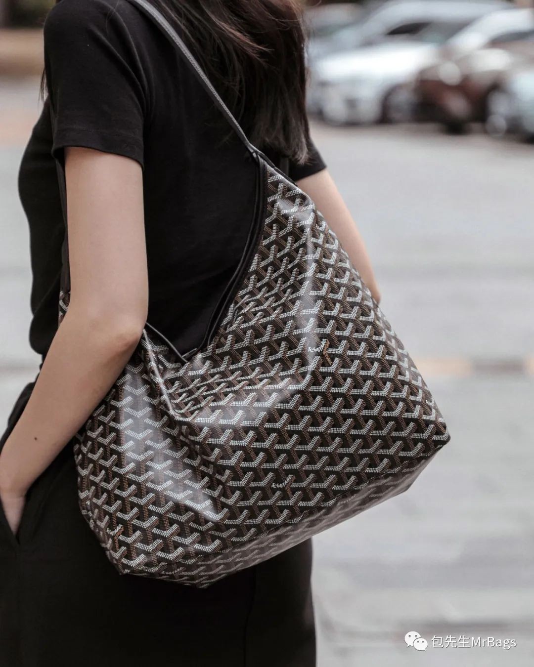 Carryall or Goyard Hobo, which one should I choose? (2023 Updated)-Online obchod s falošnou taškou Louis Vuitton najvyššej kvality, replika značkovej tašky ru