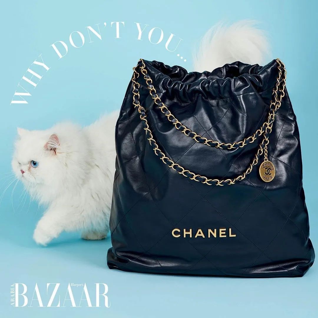 Carryall or Goyard Hobo, which one should I choose? (2023 Updated)-Online obchod s falošnou taškou Louis Vuitton najvyššej kvality, replika značkovej tašky ru