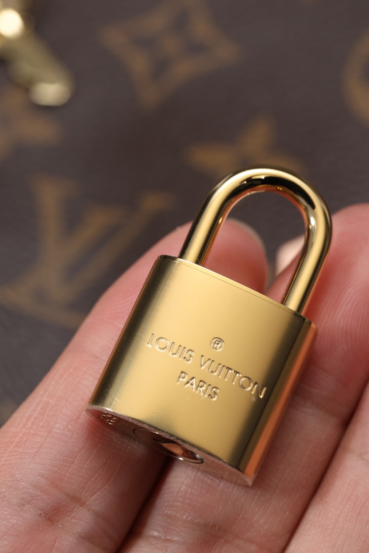 How good quality is a M41113 Speedy 25 bag? (2023 Updated)-ఉత్తమ నాణ్యత నకిలీ లూయిస్ విట్టన్ బ్యాగ్ ఆన్‌లైన్ స్టోర్, రెప్లికా డిజైనర్ బ్యాగ్ రు