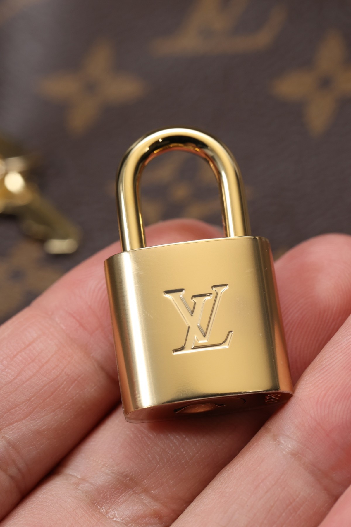 How good quality is a M41113 Speedy 25 bag? (2023 Updated)-ఉత్తమ నాణ్యత నకిలీ లూయిస్ విట్టన్ బ్యాగ్ ఆన్‌లైన్ స్టోర్, రెప్లికా డిజైనర్ బ్యాగ్ రు