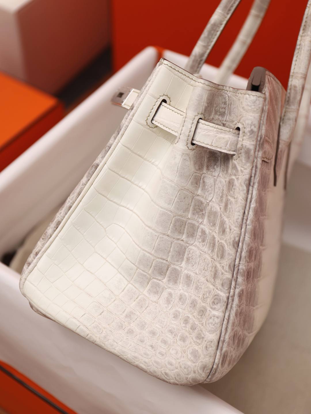 Best Replica Handbags StoreHermes Birkin 30 Himalaya cocrodile leather bag review(Dec 2025 updated)-Best Quality Fake designer Bag Review, Replica designer bag ru Best Replica Handbags StoreHermes Birkin 30 Himalaya cocrodile leather bag review(Dec 2025 updated)-Best Quality Fake designer Bag Review, Replica designer bag ru