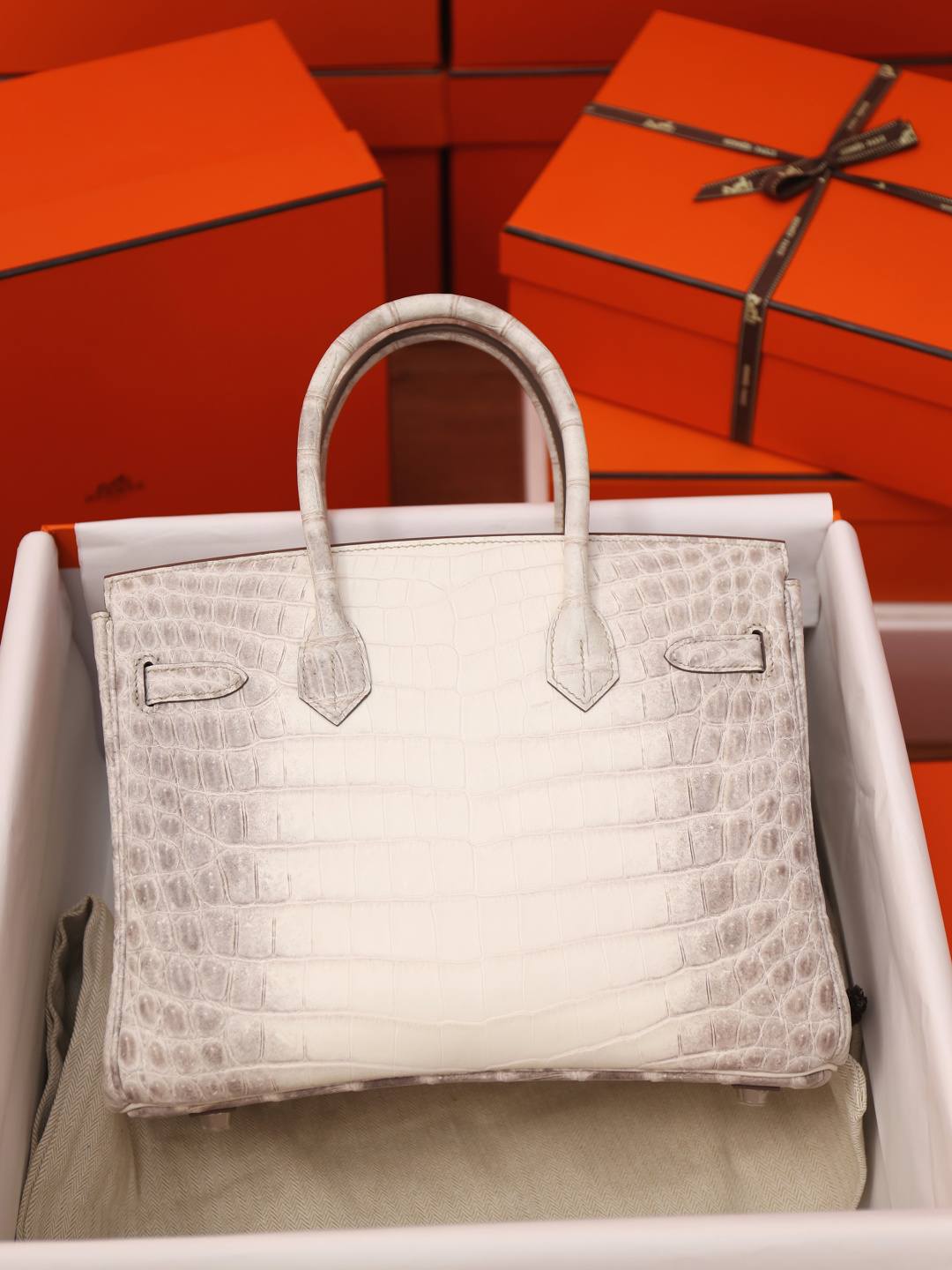 Best Replica Handbags StoreHermes Birkin 30 Himalaya cocrodile leather bag review(Dec 2025 updated)-Best Quality Fake designer Bag Review, Replica designer bag ru Best Replica Handbags StoreHermes Birkin 30 Himalaya cocrodile leather bag review(Dec 2025 updated)-Best Quality Fake designer Bag Review, Replica designer bag ru