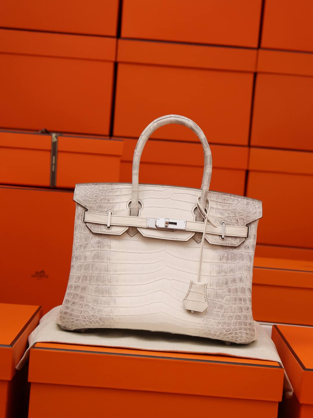 Best Replica Handbags StoreHermes Birkin 30 Himalaya cocrodile leather bag review(Dec 2025 updated)-Best Quality Fake designer Bag Review, Replica designer bag ru Best Replica Handbags StoreHermes Birkin 30 Himalaya cocrodile leather bag review(Dec 2025 updated)-Best Quality Fake designer Bag Review, Replica designer bag ru