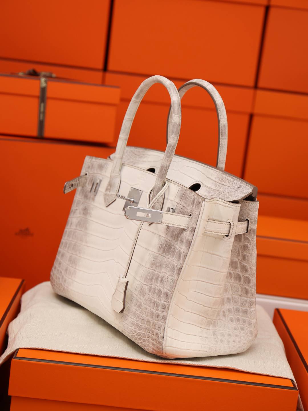 Best Replica Handbags StoreHermes Birkin 30 Himalaya cocrodile leather bag review(Dec 2025 updated)-Best Quality Fake designer Bag Review, Replica designer bag ru Best Replica Handbags StoreHermes Birkin 30 Himalaya cocrodile leather bag review(Dec 2025 updated)-Best Quality Fake designer Bag Review, Replica designer bag ru