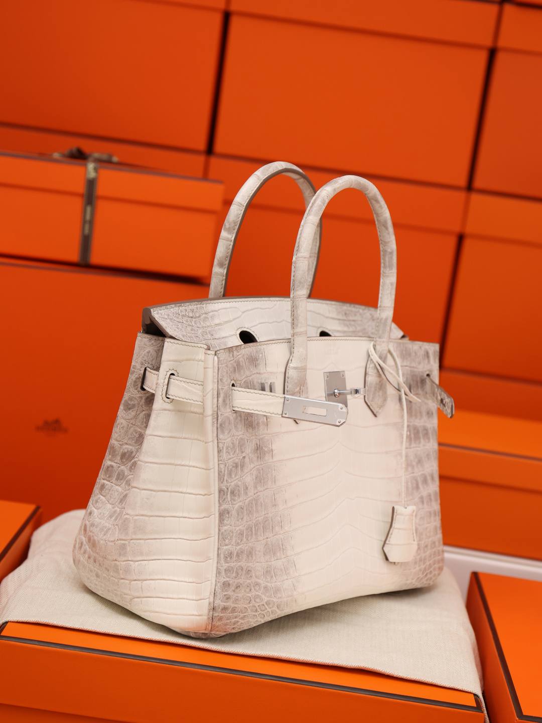 Best Replica Handbags StoreHermes Birkin 30 Himalaya cocrodile leather bag review(Dec 2025 updated)-Best Quality Fake designer Bag Review, Replica designer bag ru Best Replica Handbags StoreHermes Birkin 30 Himalaya cocrodile leather bag review(Dec 2025 updated)-Best Quality Fake designer Bag Review, Replica designer bag ru
