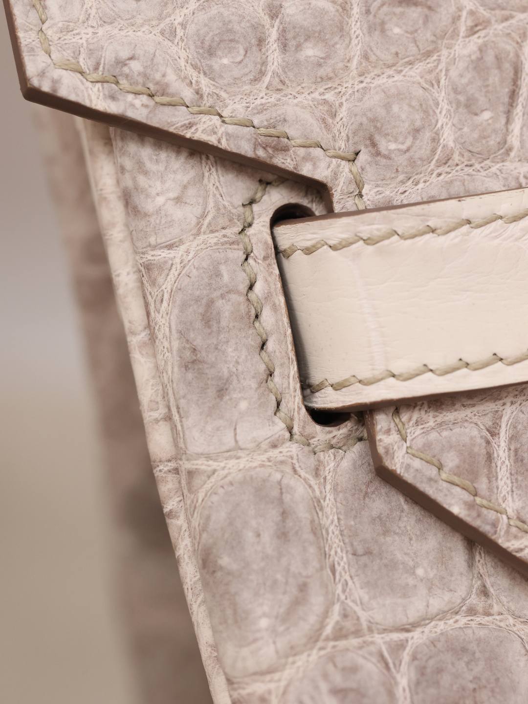 Best Replica Handbags StoreHermes Birkin 30 Himalaya cocrodile leather bag review(Dec 2025 updated)-Best Quality Fake designer Bag Review, Replica designer bag ru Best Replica Handbags StoreHermes Birkin 30 Himalaya cocrodile leather bag review(Dec 2025 updated)-Best Quality Fake designer Bag Review, Replica designer bag ru