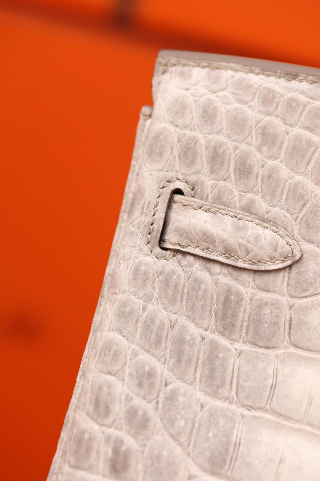 Best Replica Handbags StoreHermes Birkin 30 Himalaya cocrodile leather bag review(Dec 2025 updated)-Best Quality Fake designer Bag Review, Replica designer bag ru Best Replica Handbags StoreHermes Birkin 30 Himalaya cocrodile leather bag review(Dec 2025 updated)-Best Quality Fake designer Bag Review, Replica designer bag ru