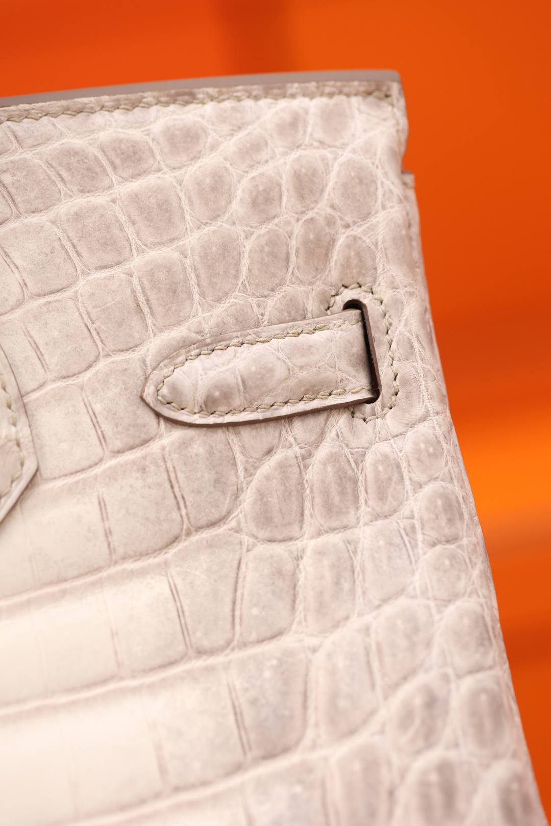 Best Replica Handbags StoreHermes Birkin 30 Himalaya cocrodile leather bag review(Dec 2025 updated)-Best Quality Fake designer Bag Review, Replica designer bag ru Best Replica Handbags StoreHermes Birkin 30 Himalaya cocrodile leather bag review(Dec 2025 updated)-Best Quality Fake designer Bag Review, Replica designer bag ru