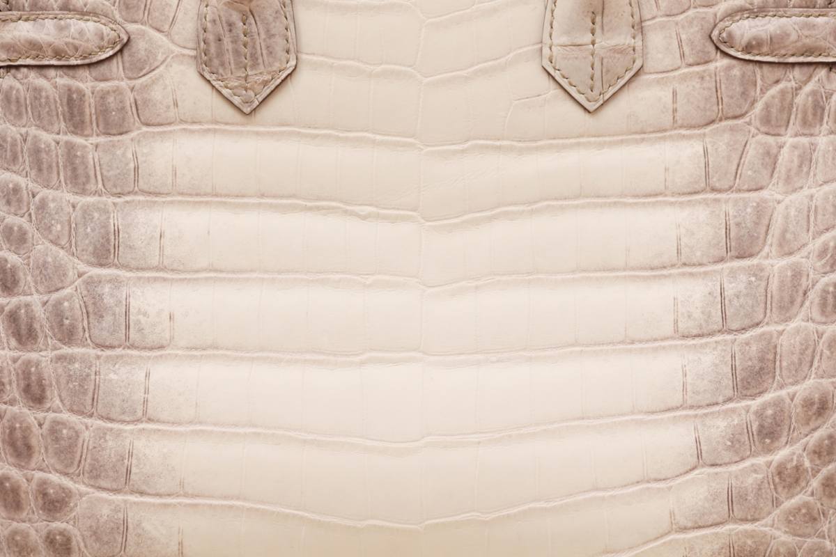 Best Replica Handbags StoreHermes Birkin 30 Himalaya cocrodile leather bag review(Dec 2025 updated)-Best Quality Fake designer Bag Review, Replica designer bag ru Best Replica Handbags StoreHermes Birkin 30 Himalaya cocrodile leather bag review(Dec 2025 updated)-Best Quality Fake designer Bag Review, Replica designer bag ru