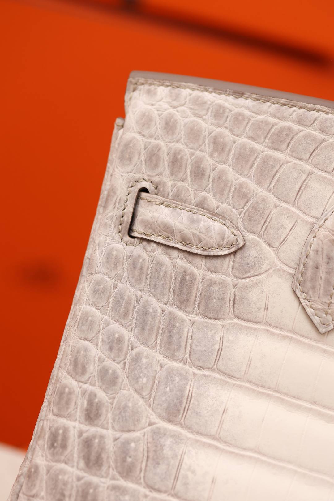 Best Replica Handbags StoreHermes Birkin 30 Himalaya cocrodile leather bag review(Dec 2025 updated)-Best Quality Fake designer Bag Review, Replica designer bag ru Best Replica Handbags StoreHermes Birkin 30 Himalaya cocrodile leather bag review(Dec 2025 updated)-Best Quality Fake designer Bag Review, Replica designer bag ru