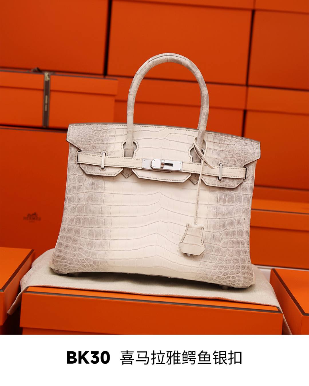 Best Replica Handbags StoreHermes Birkin 30 Himalaya cocrodile leather bag review(Dec 2025 updated)-Best Quality Fake designer Bag Review, Replica designer bag ru Best Replica Handbags StoreHermes Birkin 30 Himalaya cocrodile leather bag review(Dec 2025 updated)-Best Quality Fake designer Bag Review, Replica designer bag ru