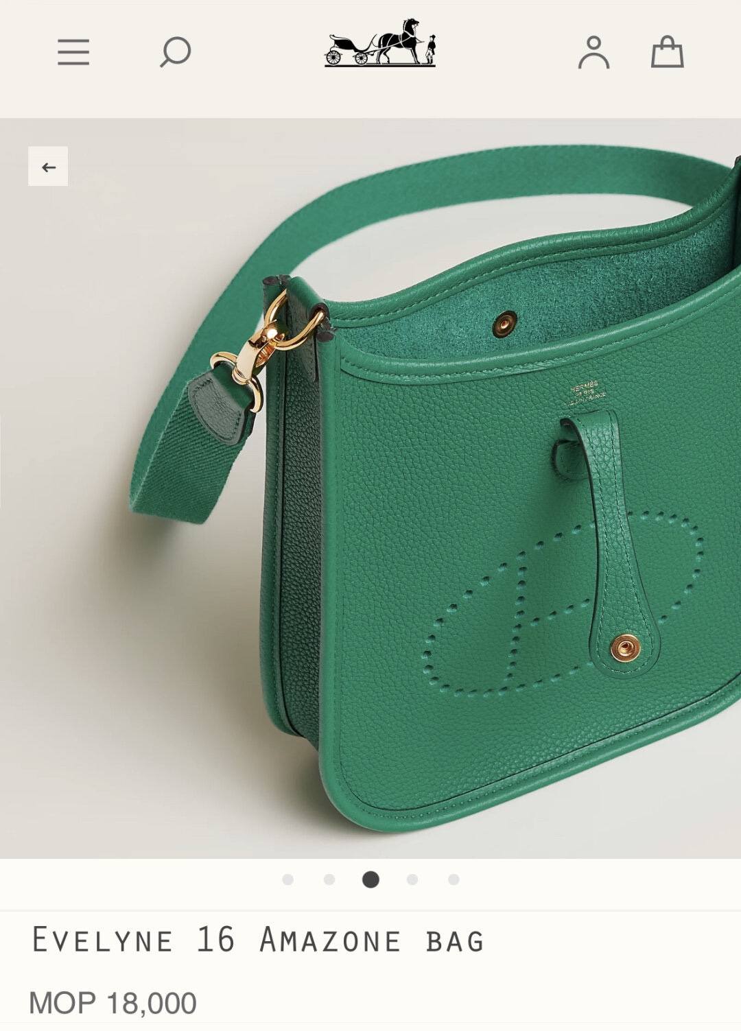 Best Replica Handbags Storehandmade Hermes Evelyne 19 new green color (Feb 2026 updated)-Best Quality Fake Louis Vuitton Bag Online Store, Replica designer bag ru