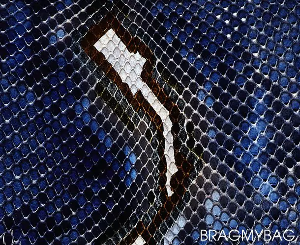 chanel-python-leather chanel python leather