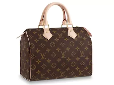 louis-vuitton-speedy-bag louis vuitton speedy bag
