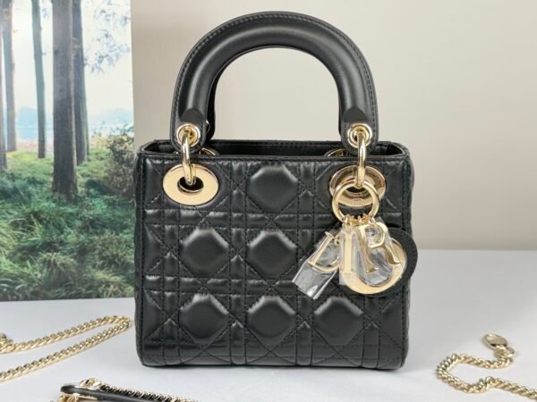 Mini Lady Dior Bag with Chain