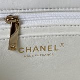 CC 21K Mini CF Handle AS2431 Handbag