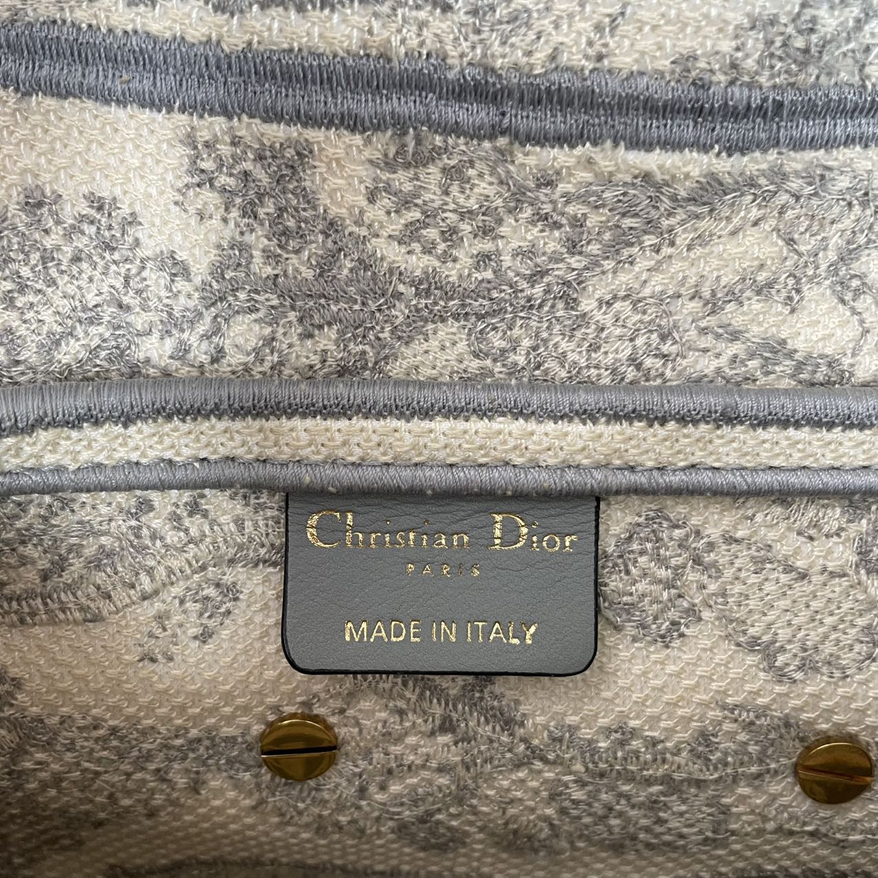 Dior Saddle Medium Canvas White / Grey