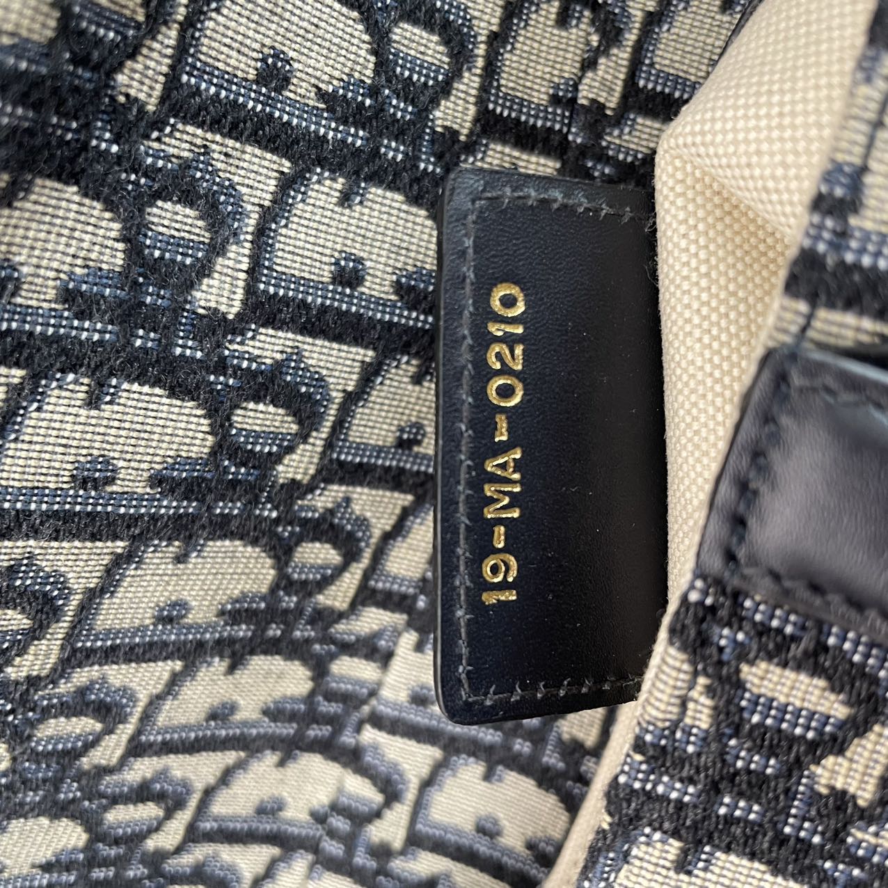 Dior Saddle Medium Canvas Blue / White 2020