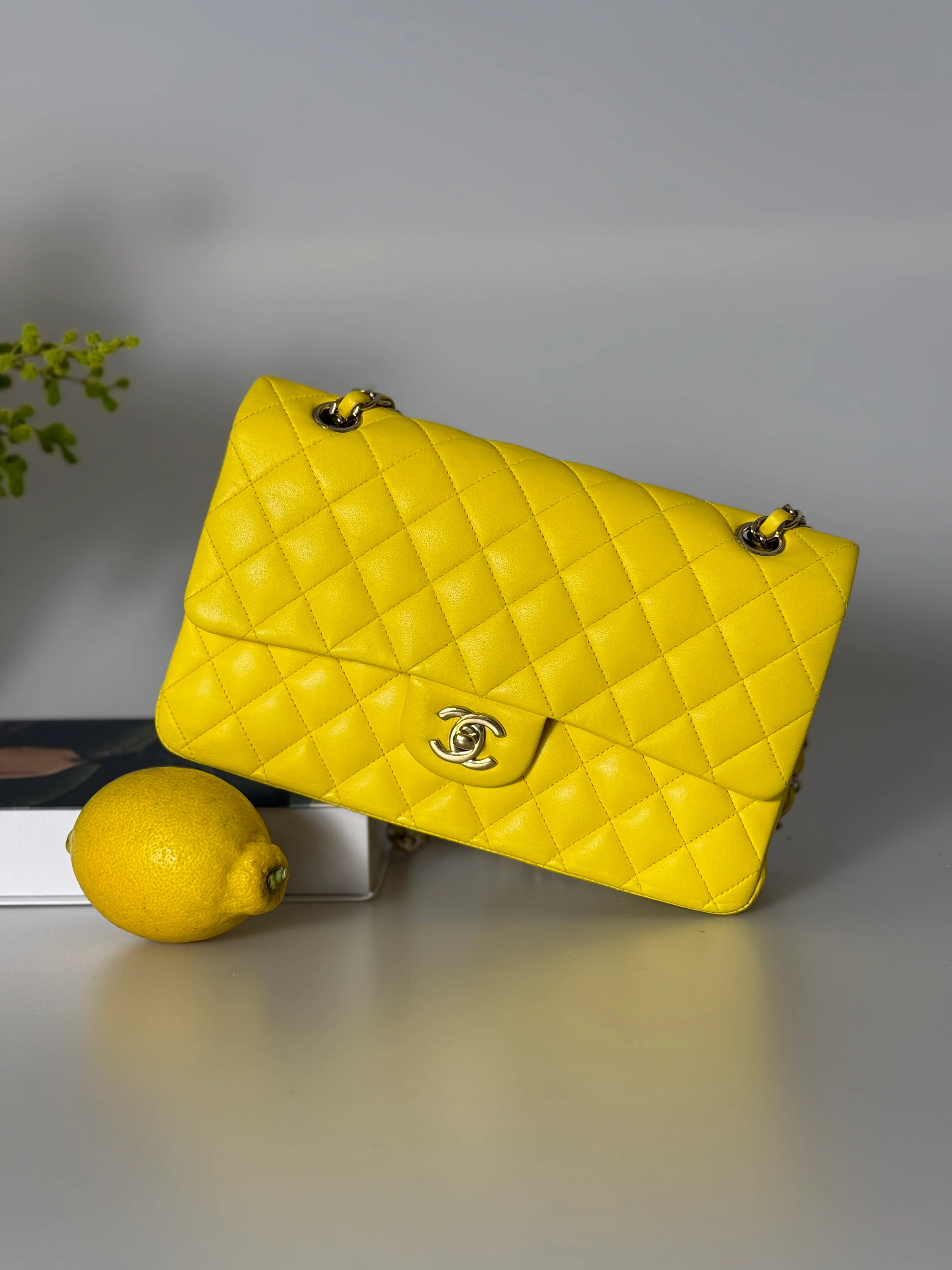 used-Chanel Medium Classic Flap Bag with Silber Hardware Yellow-MILOURA