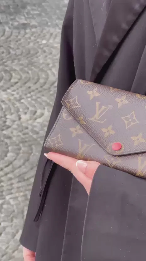 Louis Vuitton Brown Monogram Canvas Wallet