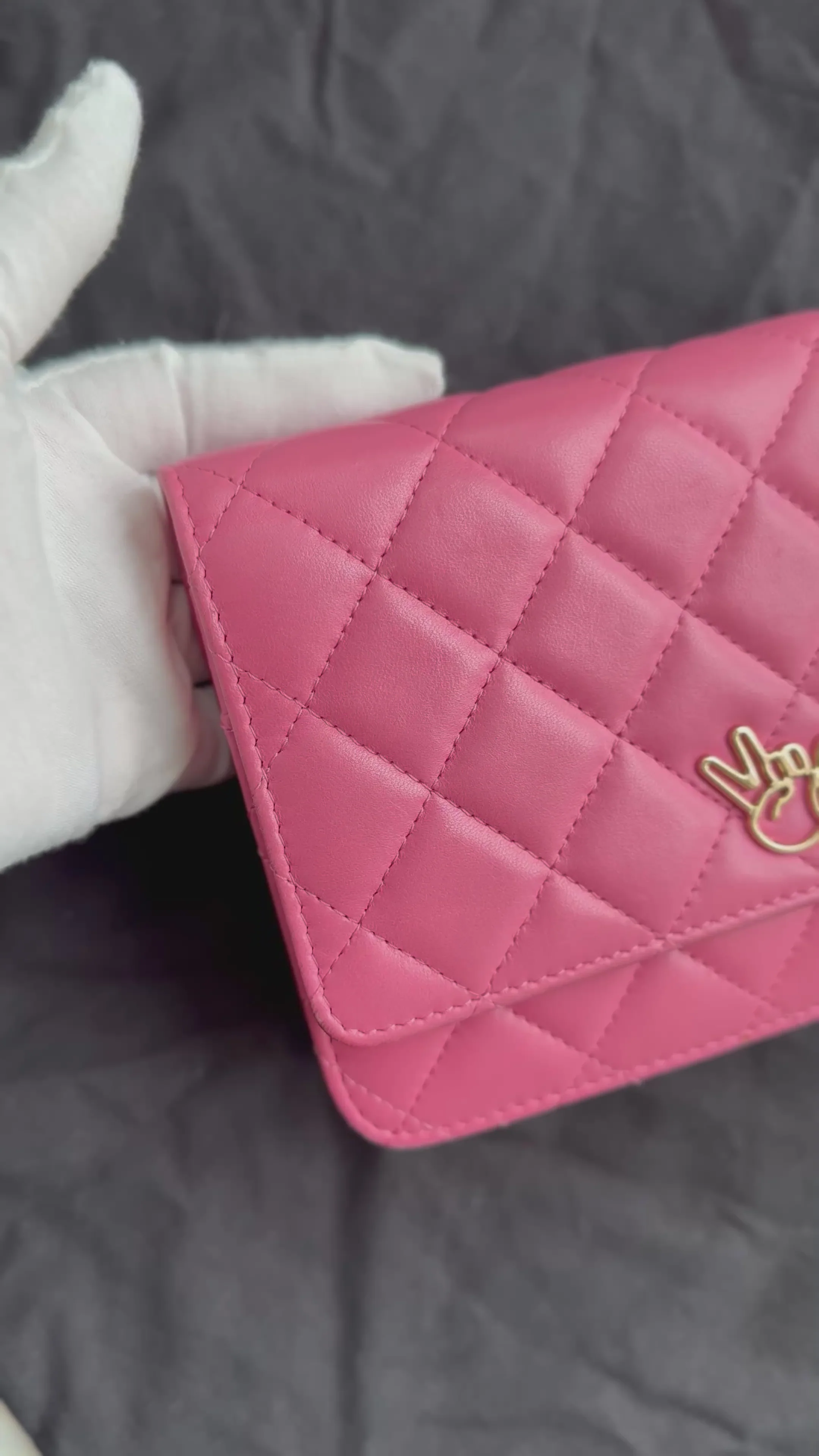 Chanel Wallet on Chain (woc) Bag Pink Emoticon