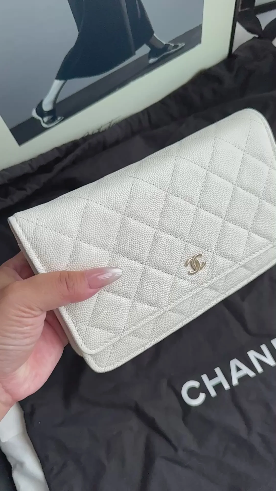 Chanel Wallet on Chain(woc) White Caviar Leather 2022